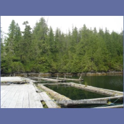 2004_6570_Takush_Harbour_Smith_Inlet.html