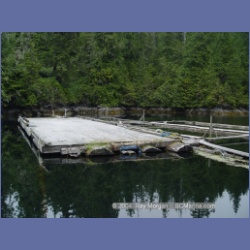 2004_6573_Takush_Harbour_Smith_Inlet.html
