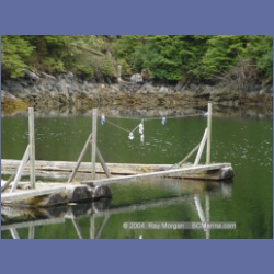 2004_6574_Takush_Harbour_Smith_Inlet.html