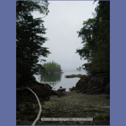 2004_6577_Takush_Harbour_Smith_Inlet.html