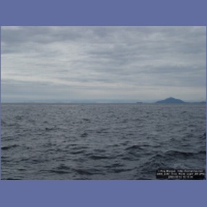 2006_2397_Tree_Point_Light_AK.JPG