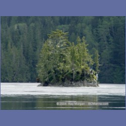 2003_2097_Turret_Rock_Nakwakto_Rapids.html
