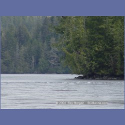 2003_2117_Turret_Rock_Nakwakto_Rapids.html