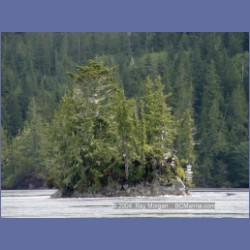 2003_2118_Turret_Rock_Nakwakto_Rapids.html