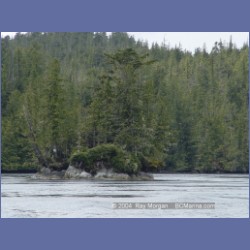 2003_2136_Turret_Rock_Nakwakto_Rapids.html