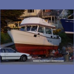 2004_6120_Shelyann_Boatyard.html
