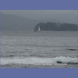 2003_2557_Turret_Island_Barkley_Sound.html