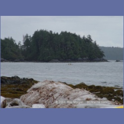 2003_2561_Turret_Island_Barkley_Sound.html