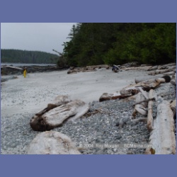 2003_2564_Turret_Island_Barkley_Sound.html