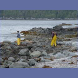 2003_2565_Turret_Island_Barkley_Sound.html