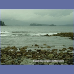 2003_2570_Turret_Island_Barkley_Sound.html