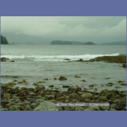 2003_2571_Turret_Island_Barkley_Sound.html