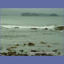 2003_2572_Turret_Island_Barkley_Sound.html