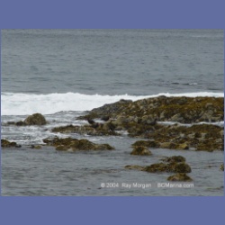 2003_2576_Turret_Island_Barkley_Sound.html