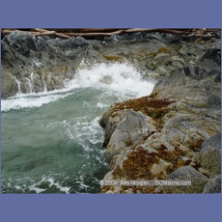 2003_2587_Turret_Island_Barkley_Sound.html
