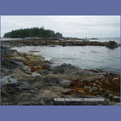2003_2588_Turret_Island_Barkley_Sound.html