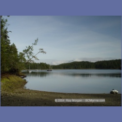 2003_2594_Joes_Bay_Turtle_Island.html