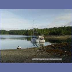 2003_2595_Joes_Bay_Turtle_Island.html
