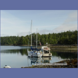 2003_2596_Joes_Bay_Turtle_Island.html