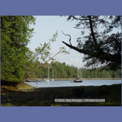 2003_2597_Joes_Bay_Turtle_Island.html
