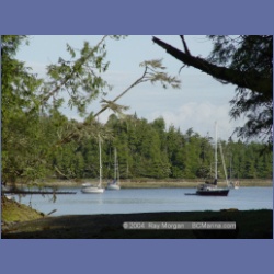 2003_2598_Joes_Bay_Turtle_Island.html