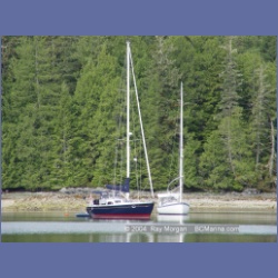 2003_2605_Joes_Bay_Turtle_Island.html