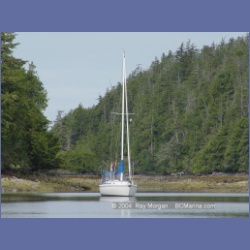 2003_2606_Joes_Bay_Turtle_Island.html