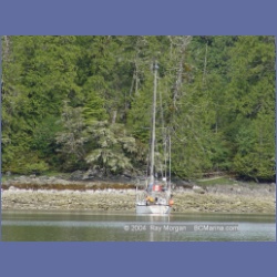 2003_2607_Joes_Bay_Turtle_Island.html