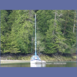 2003_2608_Joes_Bay_Turtle_Island.html