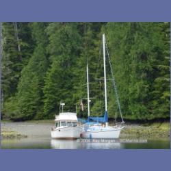 2003_2610_Joes_Bay_Turtle_Island.html
