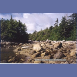 1997_typhoona1.html