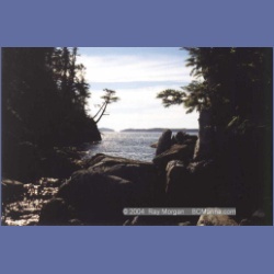 1997_typhoona5.html