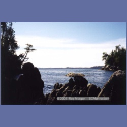 1997_typhoona6.html