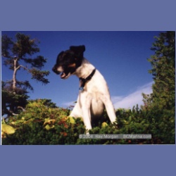 1997_typhoona9.html