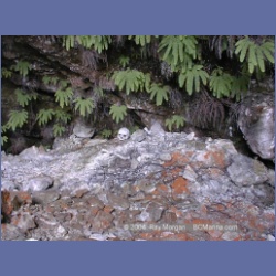 2002_092_Tzartus_Island_BarkleySound.html