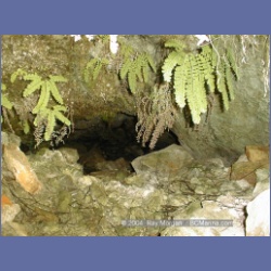 2002_093_TzartusIsland_BarkleySound.html