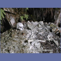 2002_094_Tzartus_Island_BarkleySound.html