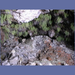 2002_095_Tzartus_Island_BarkleySound.html