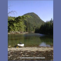 2001_243_Union_Passage.html
