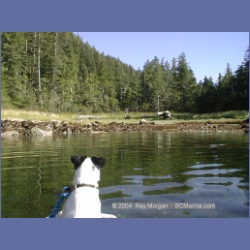 2001_245_Union_Passage.html