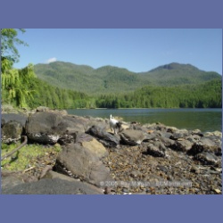 2005_0720_Village_Cove_Mereworth_Sound.html
