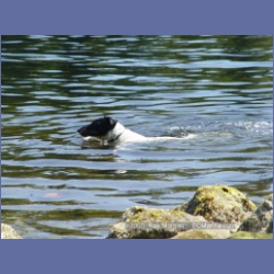 2005_0722_Village_Cove_Mereworth_Sound.html