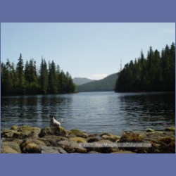 2005_0724_Village_Cove_Mereworth_Sound.html