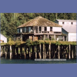1997_wadhams85.html