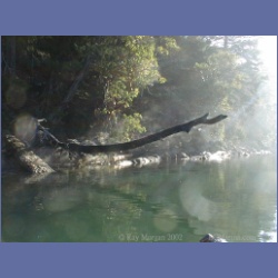 200X_075_Conover_Cove_Wallace_Island.html