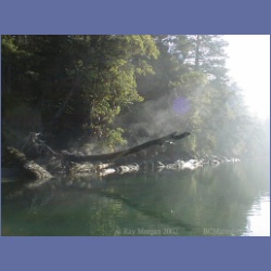 200X_076_Conover_Cove_Wallace_Island.html