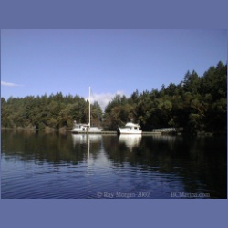 200X_077_Conover_Cove_Wallace_Island.html