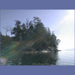 200X_079_Conover_Cove_Wallace_Island.html