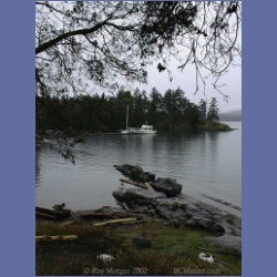 200X_114_Conover_Cove_Wallace_Island.html