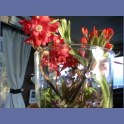 200X_118_Conover_Cove_Wallace_Island.html